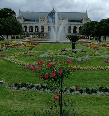 Kölner Flora